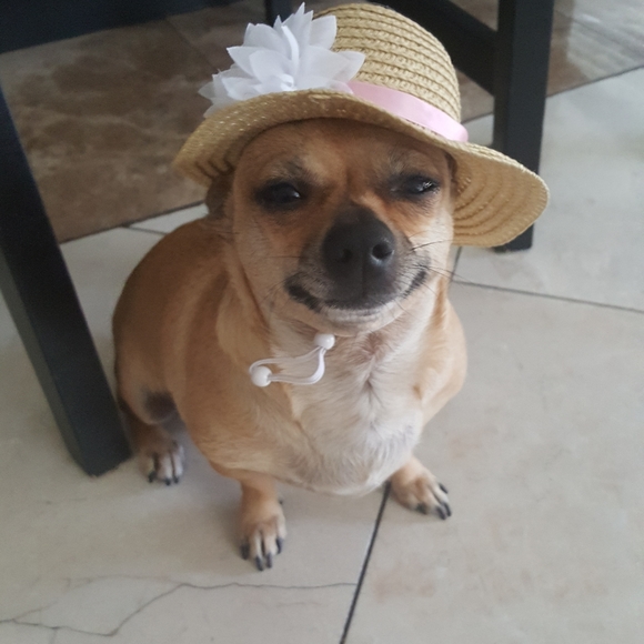 Meet your Posher, Mayra - Picture 8 of 10